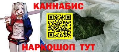 прущие грибы Донской