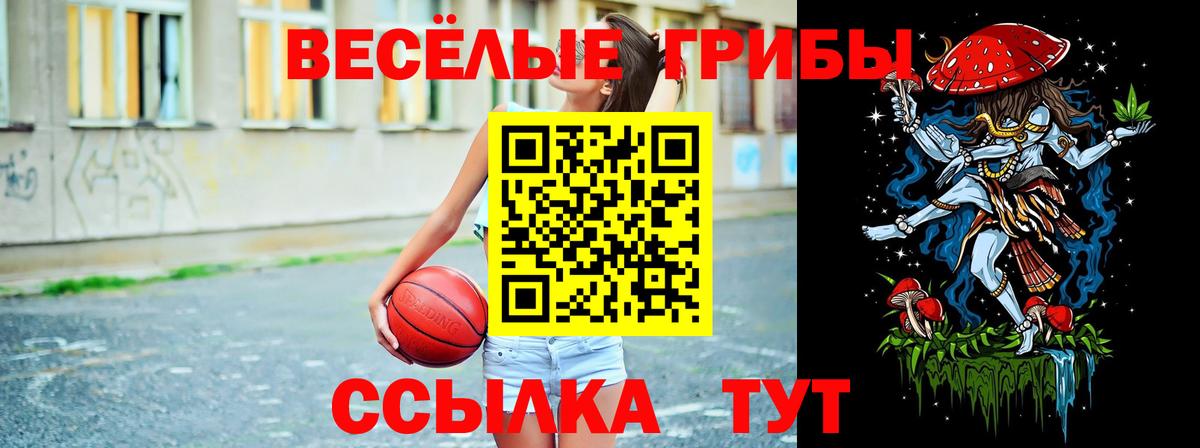 Медногорск  Галлюциногенные грибы MAGIC MUSHROOMS  Вход с VPN 